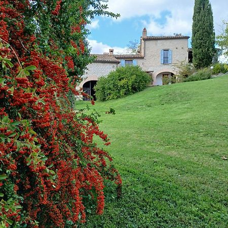 Agriturismo del Frontino-Lo Studio Acqualagna Exterior foto