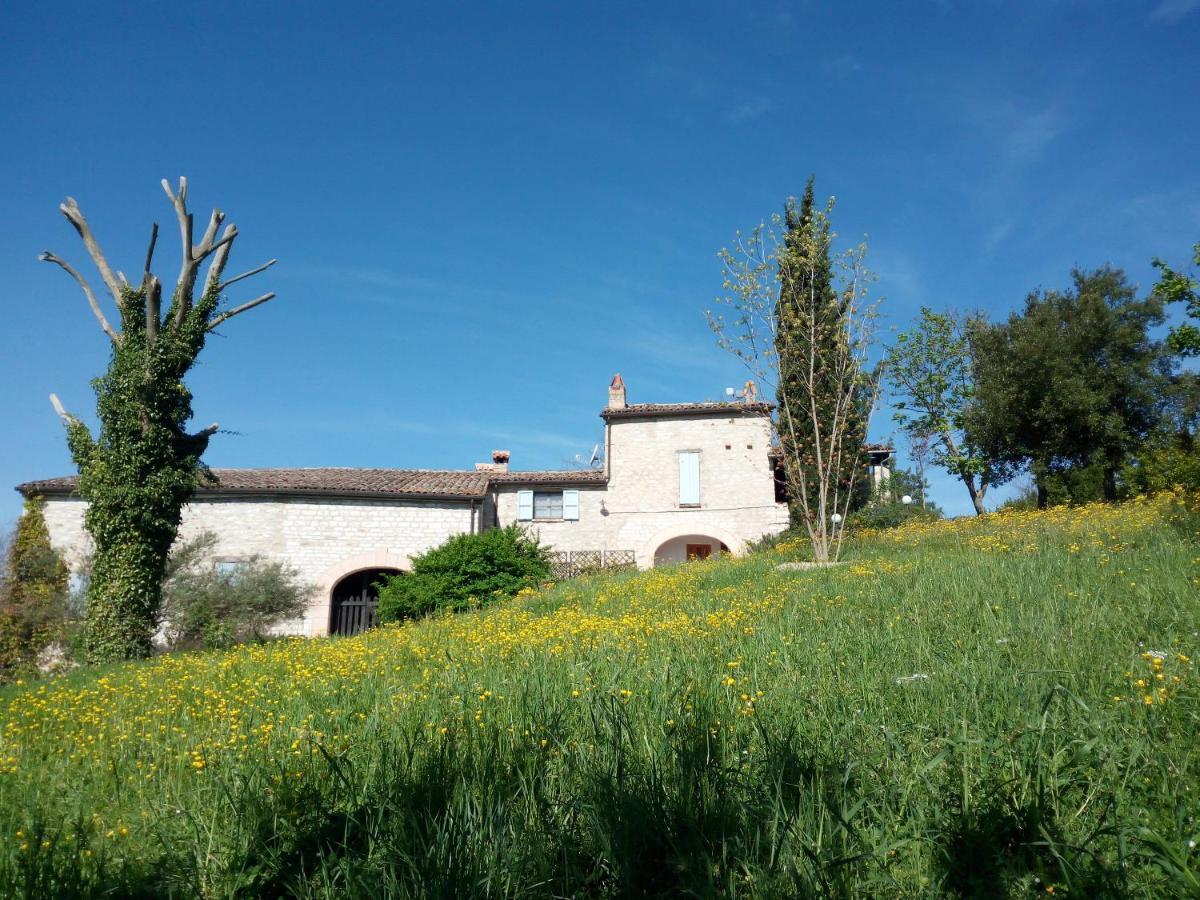 Agriturismo del Frontino-Lo Studio Acqualagna Exterior foto