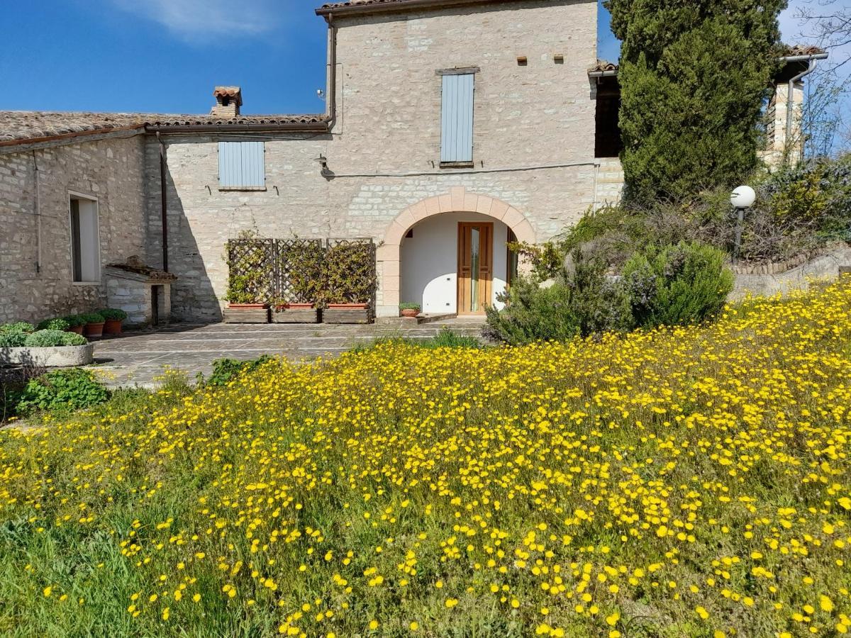 Agriturismo del Frontino-Lo Studio Acqualagna Exterior foto