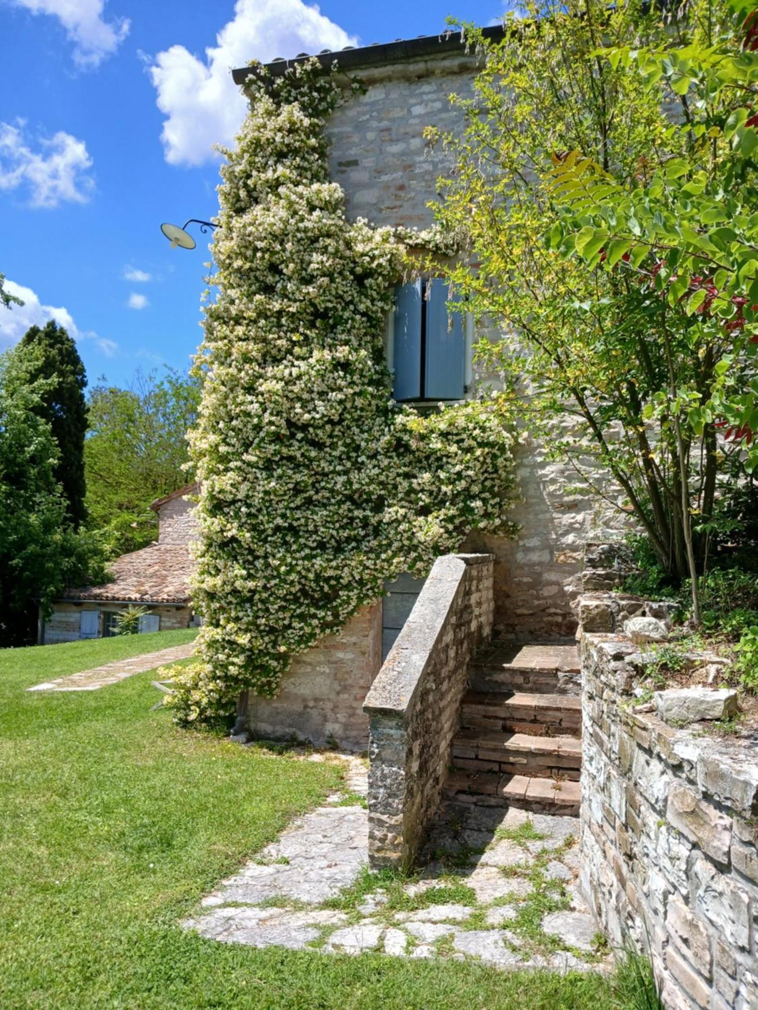 Agriturismo del Frontino-Lo Studio Acqualagna Exterior foto