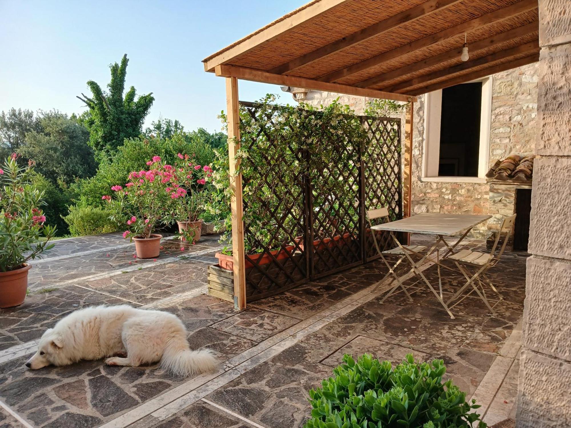 Agriturismo del Frontino-Lo Studio Acqualagna Exterior foto